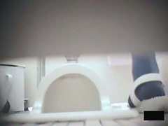 Exciting toilet spy cam shots of amateur bushy slits